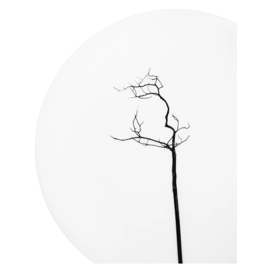 Тарелка десертная Dibbern Чёрный лес 16 см, фарфор костяной