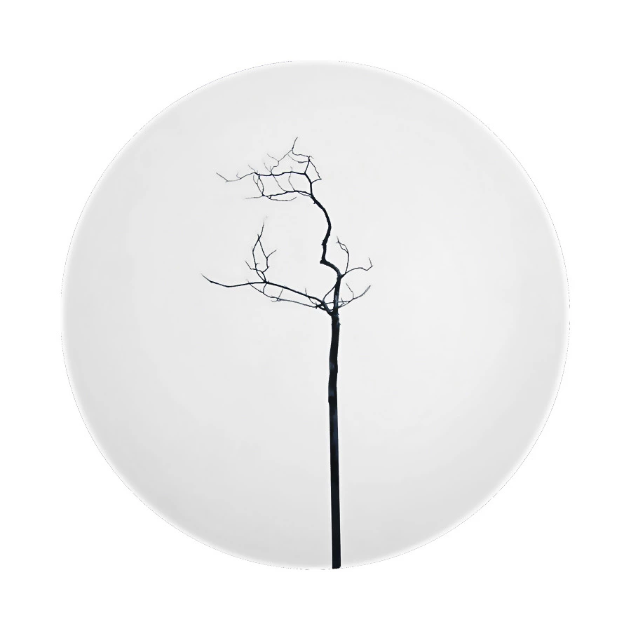 Тарелка закусочная Dibbern Чёрный лес 21 см, фарфор костяной