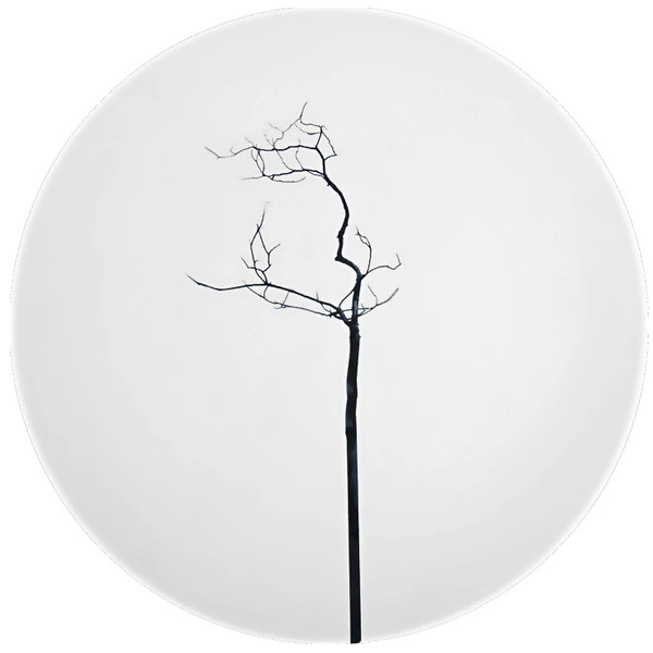 Тарелка закусочная Dibbern Чёрный лес 21 см, фарфор костяной