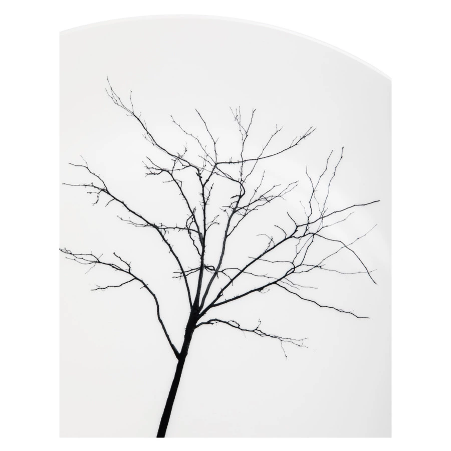 Тарелка подстановочная Dibbern Чёрный лес 32 см, фарфор костяной