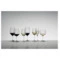 Набор бокалов для белого вина Riedel Vinum Sauvignon Blanc Dessert 356 мл, 2 шт, стекло хрустальное