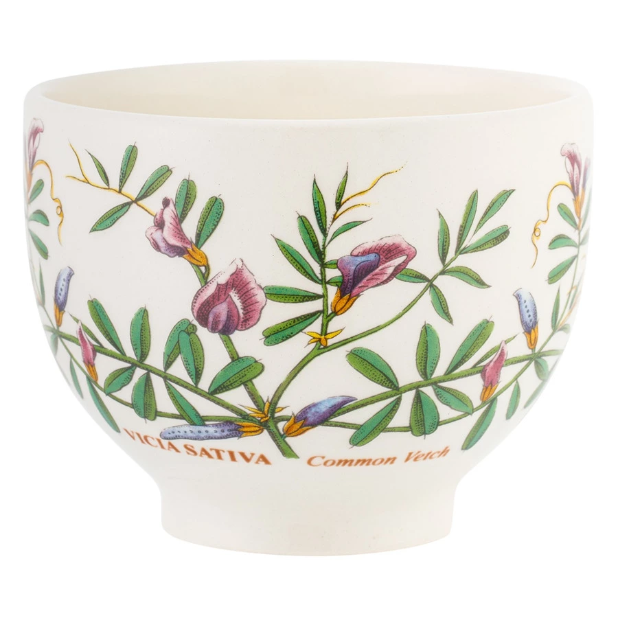 Чашка чайная с блюдцем Portmeirion Ботанический сад Горошек 280 мл