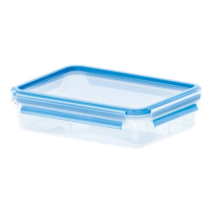 Контейнер прямоугольный с крышкой Emsa Клип&Клоуз 800 мл, пластик