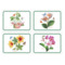 Набор плейсматов Pimpernel Ботанический сад Экзотические цветы 40х29 см, 4 шт, пробка