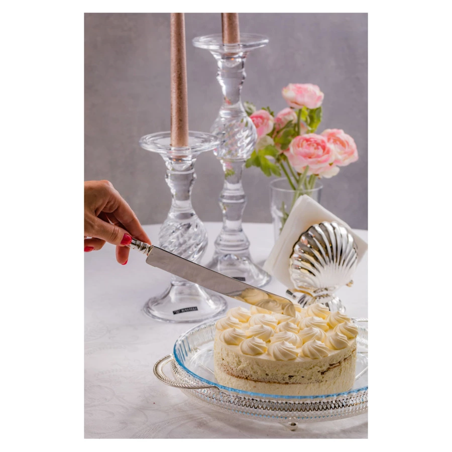 Набор для торта Queen Anne 2 предмета, нож 31 см и лопатка 26 см, сталь, посеребрение