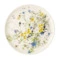 Тарелка десертная Rosenthal Альпийские цветы 18 см, фарфор костяной