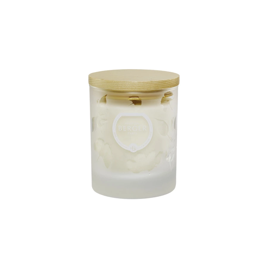 Свеча ароматическая Maison Berger Энергия 180 гр