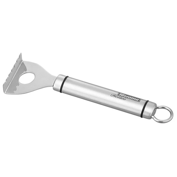 Скребок для рыбьей чешуи Tescoma President 17,1 см, сталь нержавеющая