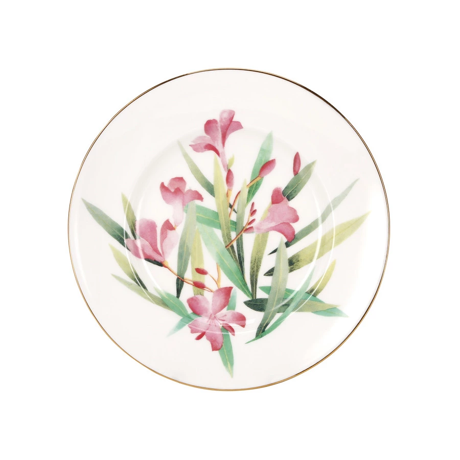 Сервиз чайный ИФЗ Акварель Яблочко на 6 персон 20 предметов, фарфор твердый