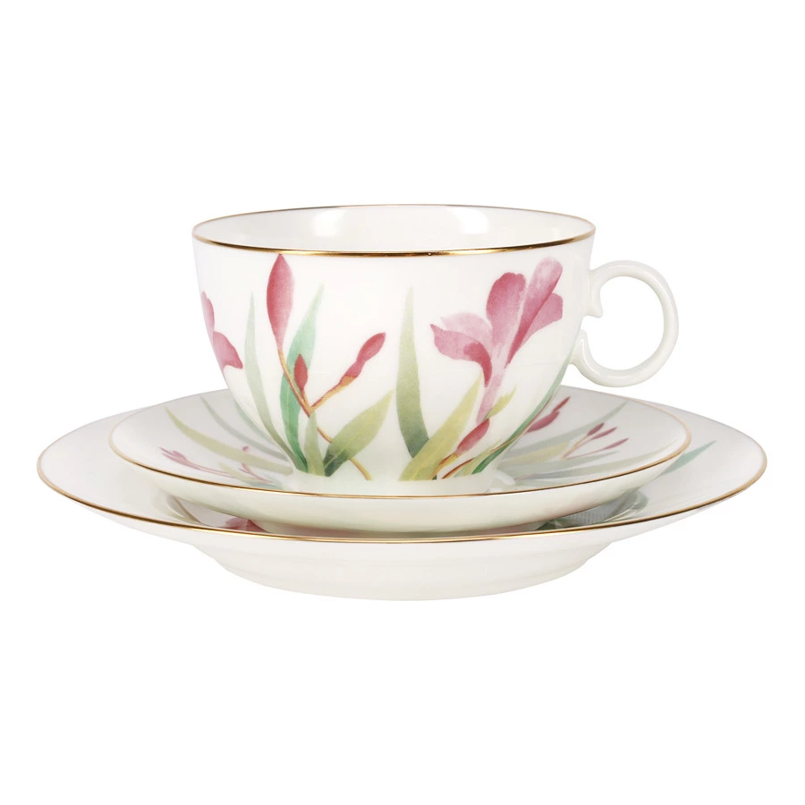 Сервиз чайный ИФЗ Акварель Яблочко на 6 персон 20 предметов, фарфор твердый