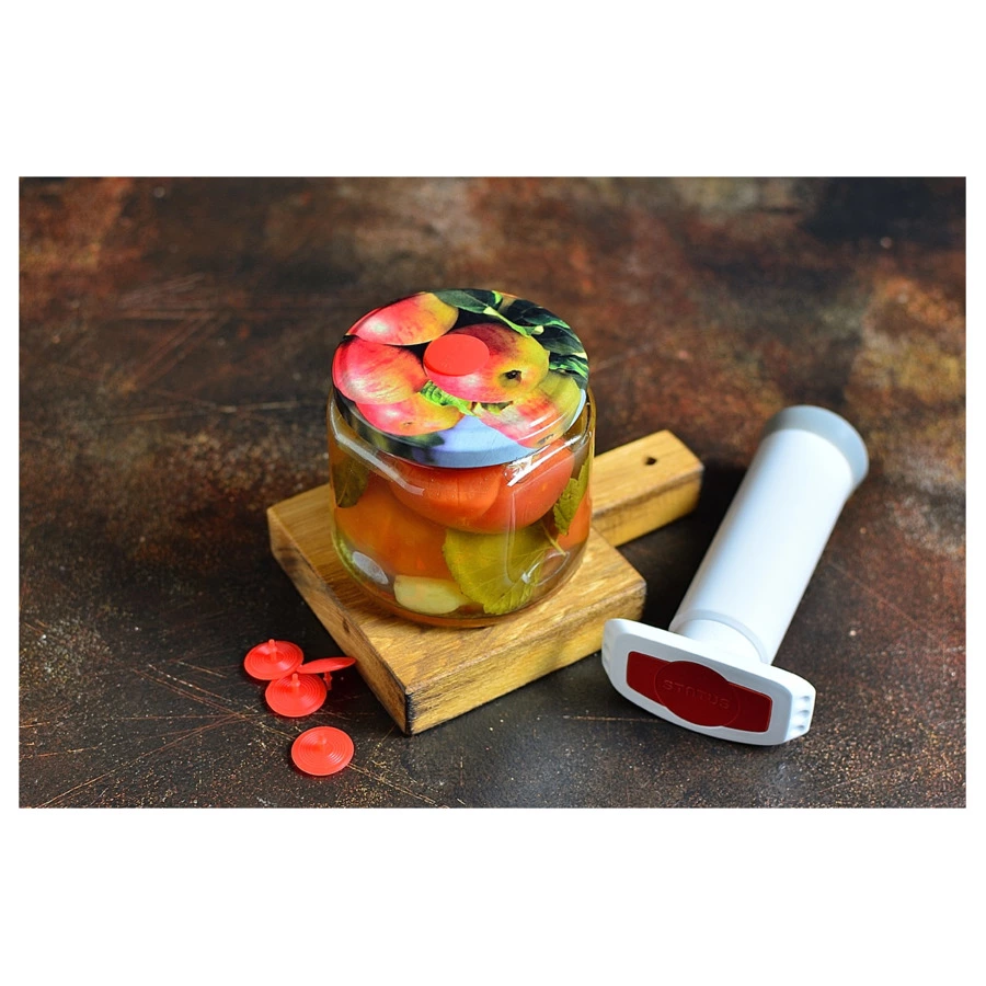 Набор для вакуумирования STATUS 199128