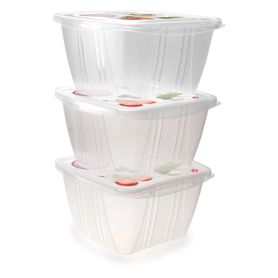 Набор контейнеров для сохранения свежести SNIPS Fresh 1 л, для СВЧ и заморозки, 3 шт, пластик