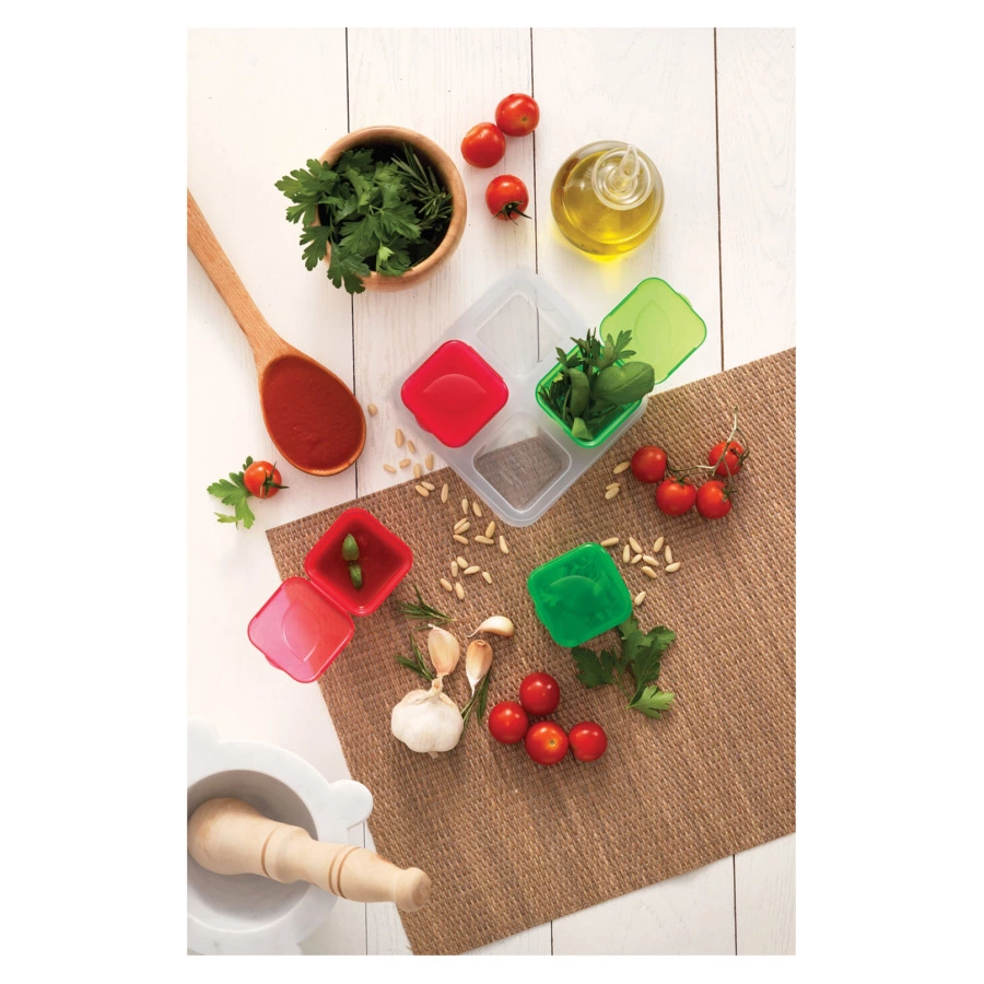 Набор контейнеров для заморозки специй, соусов и зелени SNIPS 100 мл, 4 шт, пластик