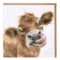 Открытка с конвертом Wrendale, Moooo, 15х15см