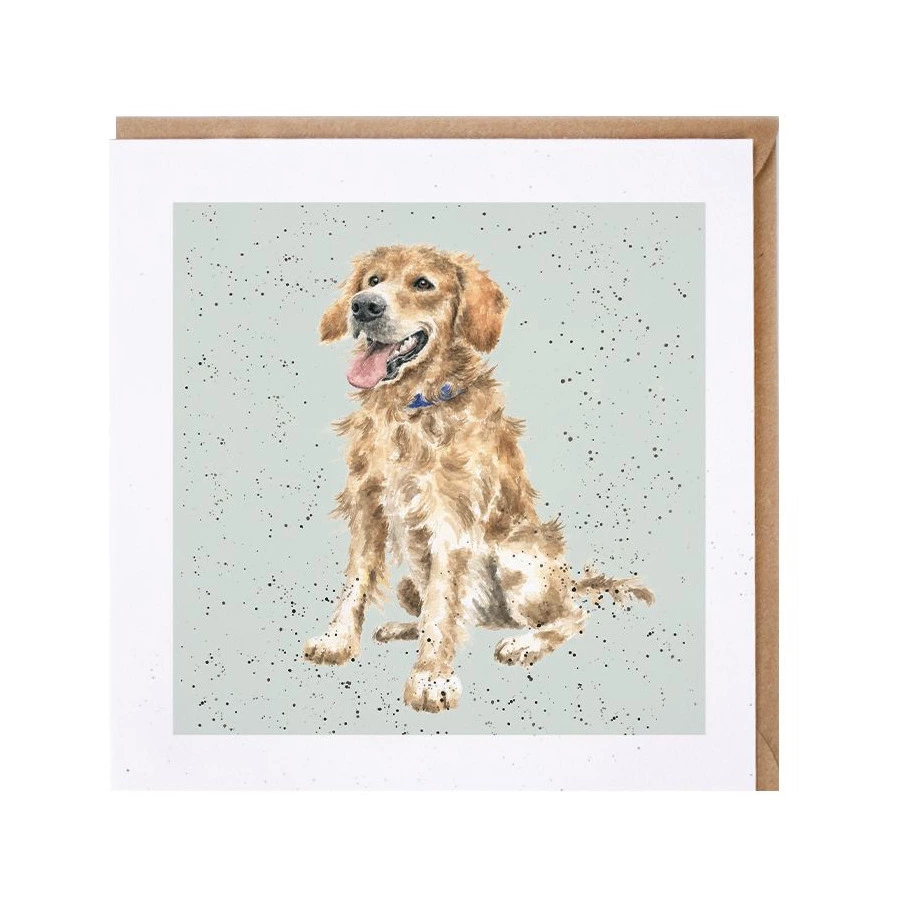 Открытка с конвертом Wrendale, Golden retriever, 15х15см