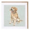 Открытка с конвертом Wrendale, Golden retriever, 15х15см
