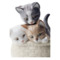Фигурка Lladro Любопытные котята 12х13 см, фарфор