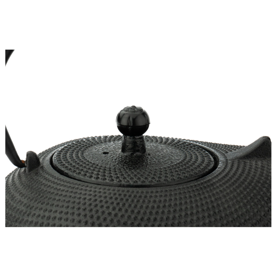Чайник заварочный Bredemeijer Aladdin с фильтром, 900 мл, чугун, черный