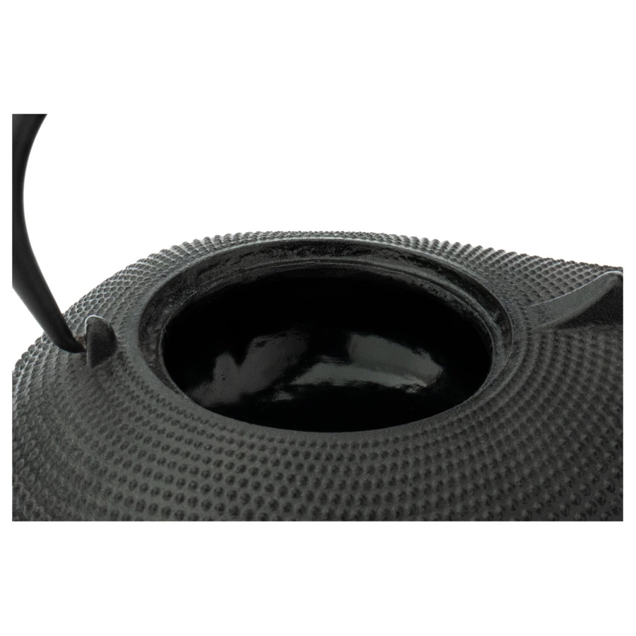 Чайник заварочный Bredemeijer Aladdin с фильтром, 900 мл, чугун, черный