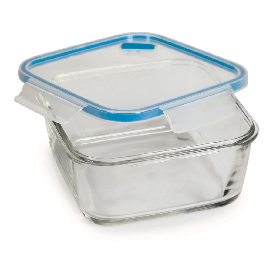 Контейнер квадратный SNIPS  800 мл, для СВЧ и заморозки, стекло, синий