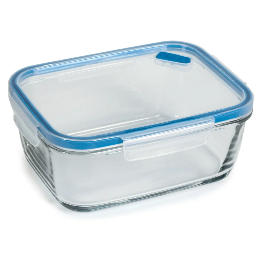 Контейнер прямоугольный SNIPS 1,5 л, 16,5х21х8,8 см, для СВЧ и заморозки, стекло, синий