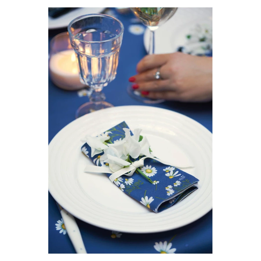 Салфетки бумажные трехслойные Duni Pretty daisy blue 33х33 см, бумага