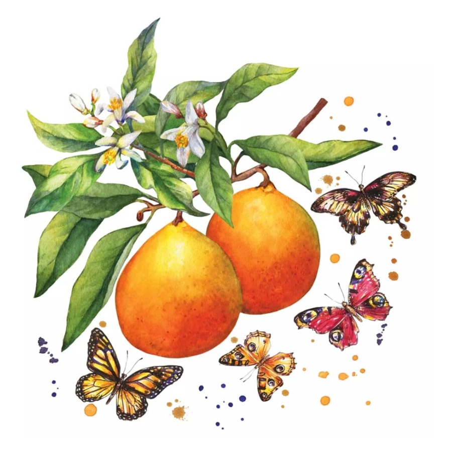 Салфетки бумажные трехслойные Paper + Design Fruity Butter 33х33 см, бумага