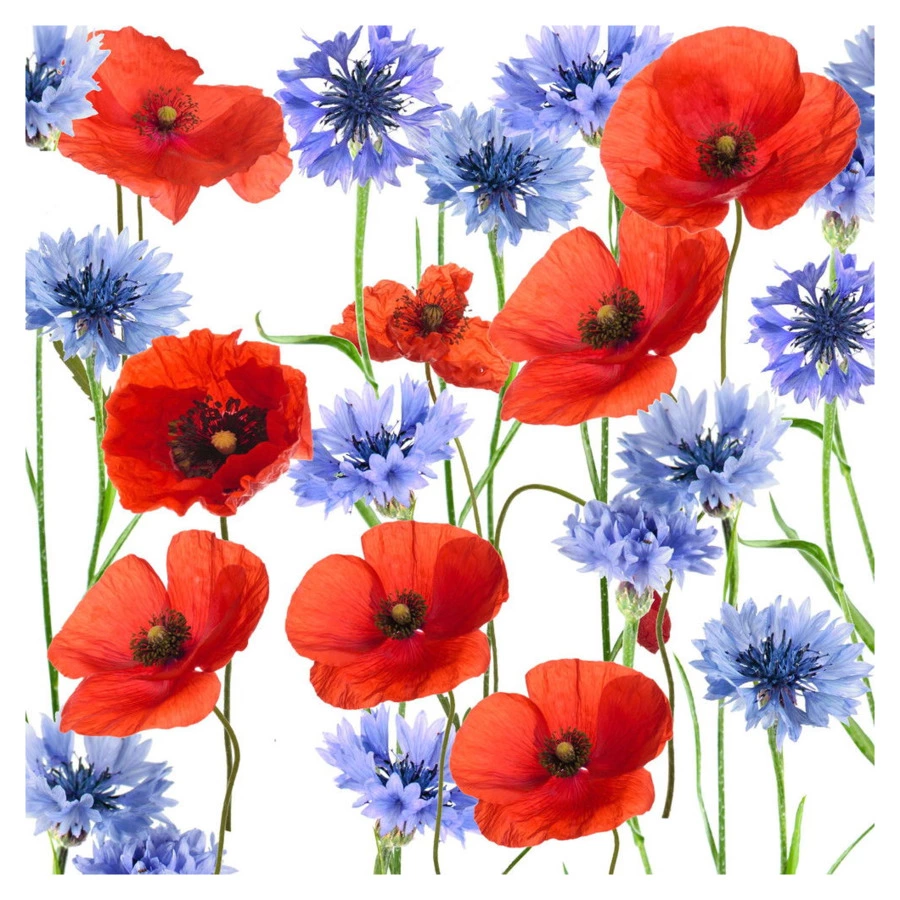 Салфетки бумажные трехслойные Paper + Design Summerfield 33х33 см, бумага