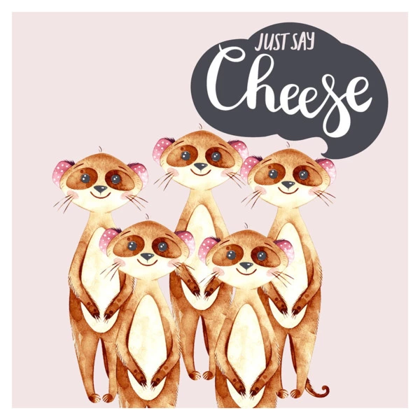 Салфетки бумажные трехслойные Duni Say cheese 33х33 см