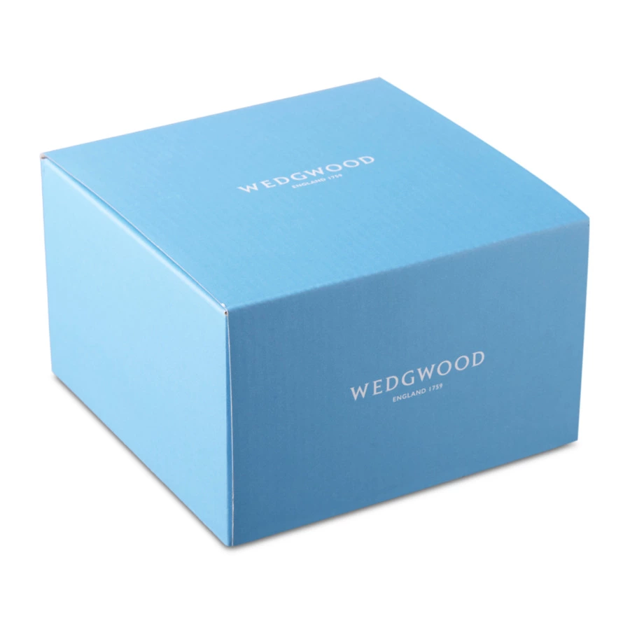 Чашка кофейная с блюдцем Wedgwood Джио 90 мл, фарфор костяной, п/к