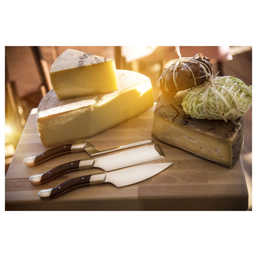 Набор ножей для сыра Legnoart Fromager, 3 предмета, ручки из темного дерева, деревянная коробка