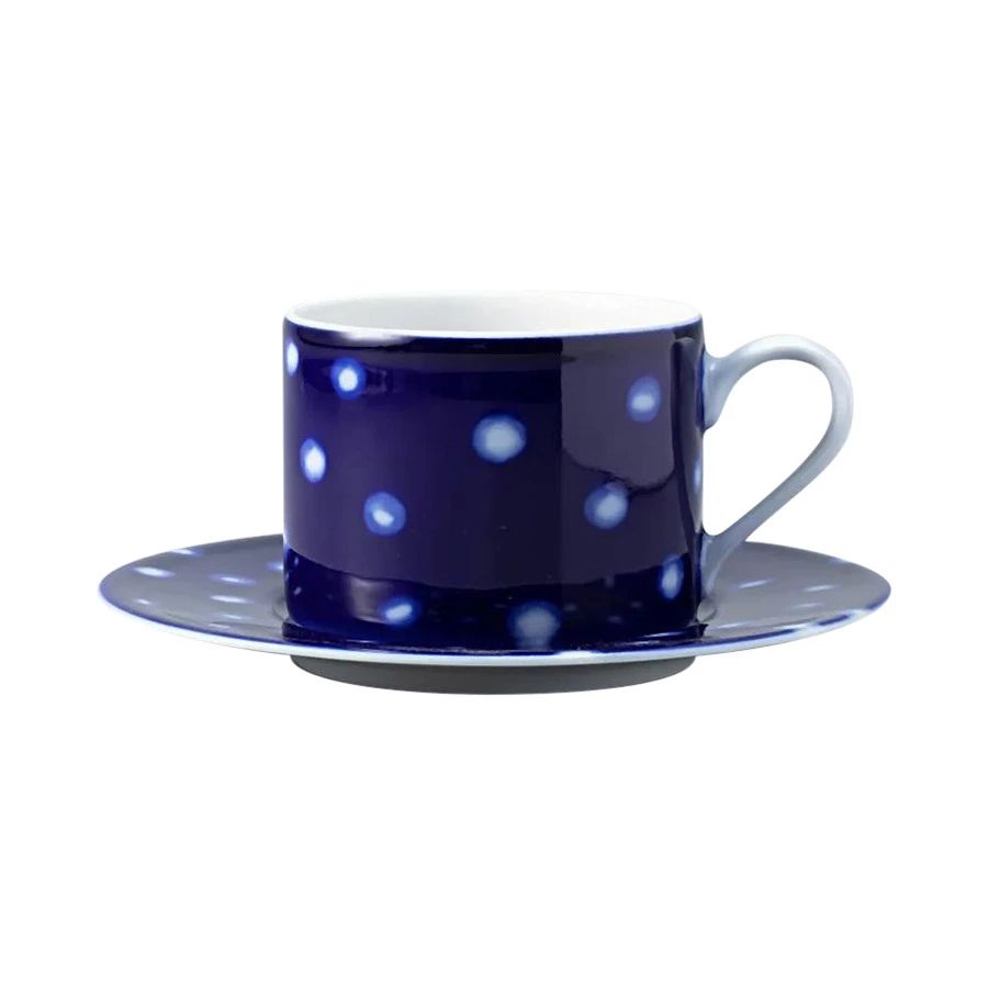 Чашка чайная с блюдцем ИФЗ Соло Реки России Обь 265 мл, фарфор твердый