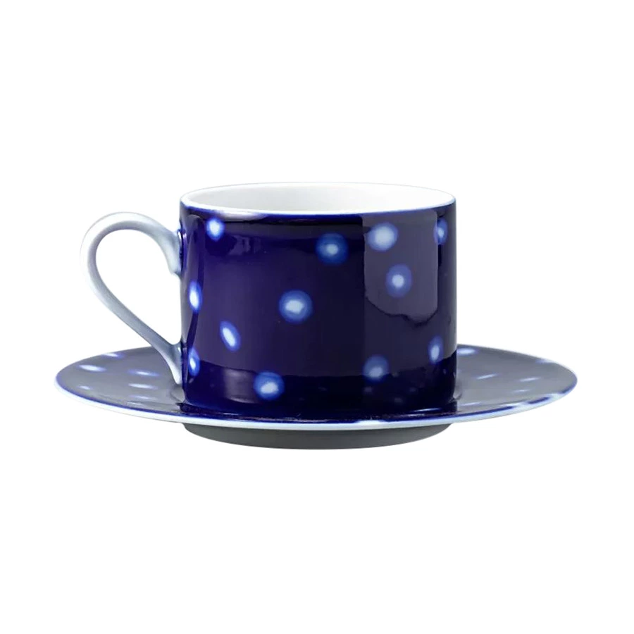 Чашка чайная с блюдцем ИФЗ Соло Реки России Обь 265 мл, фарфор твердый