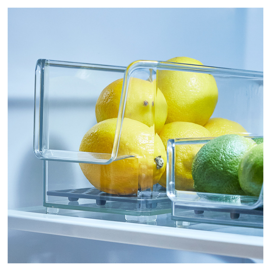 Лоток для хранения лимонов в холодильнике Spectrum Hexa 10х9х19 см