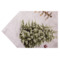 Скатерть прямоугольная Vingi Ricami Tiffany Xmas 05 140х180 см, хлопок