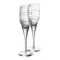 Набор фужеров для шампанского Vista Alegre Винил 240 мл, 2 шт, хрусталь