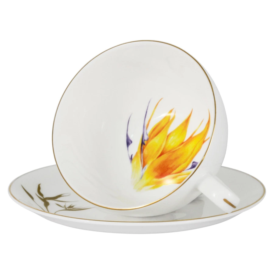 Чашка чайная с блюдцем Anna Lafarg Emily Strelitzia 250 мл, фарфор костяной, п/к