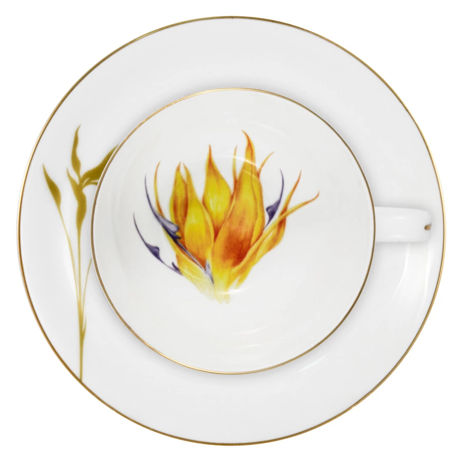 Чашка чайная с блюдцем Anna Lafarg Emily Strelitzia 250 мл, фарфор костяной, п/к