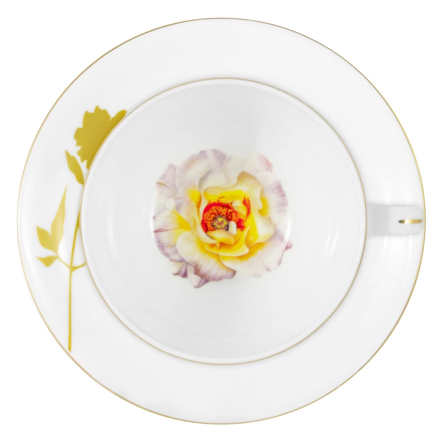 Чашка чайная с блюдцем Anna Lafarg Emily Kamelia 250 мл, фарфор костяной, п/к