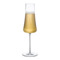 Бокал для шампанского Nude Glass Невидимая ножка Вулкан 300 мл, хрусталь