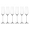 Набор бокалов для шампанского Schott Zwiesel Fortissimo 240 мл, 6 шт