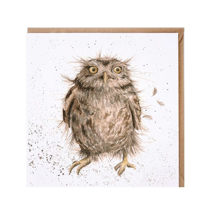 Открытка с конвертом Wrendale Designs What a Hoot 15х15 см