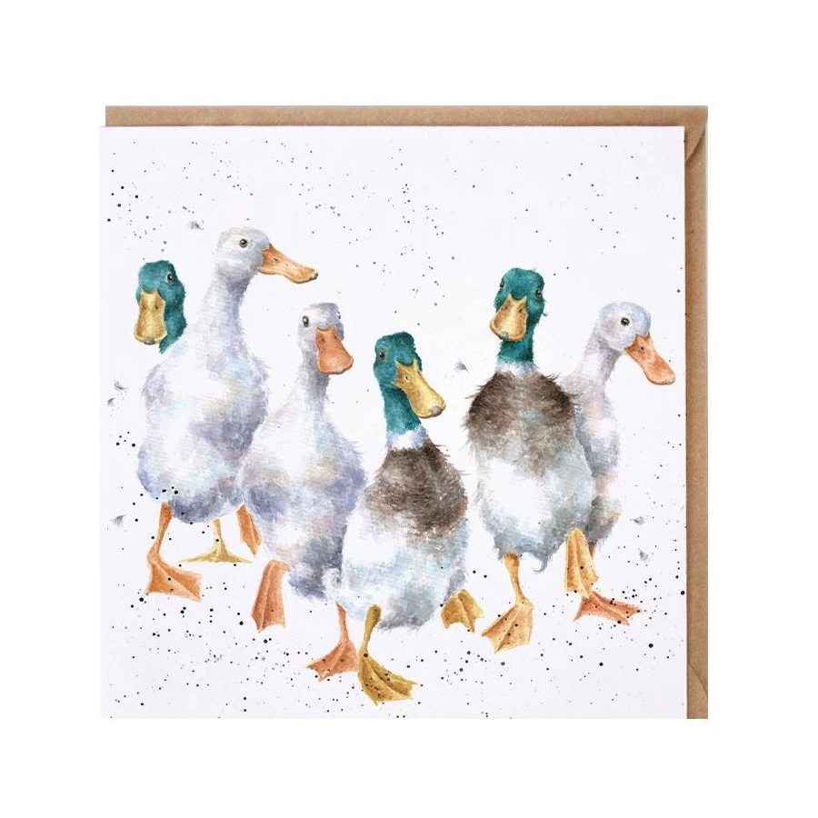 Открытка с конвертом Wrendale Designs Quackers 15х15 см