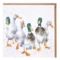 Открытка с конвертом Wrendale Designs Quackers 15х15 см