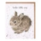Открытка Wrendale Designs Little Leveret 15х17 см