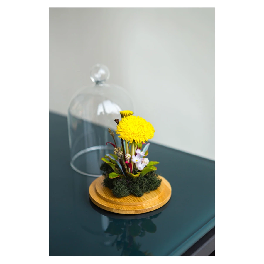 Одуванчик с полевыми цветами из холодного фарфора в куполе