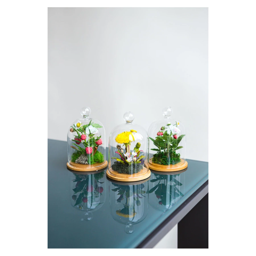 Одуванчик с полевыми цветами из холодного фарфора в куполе