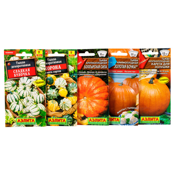 Набор семян тыквы для Хэллоуина и декора Всем по тыкве, упаковка, 5 видов сортов