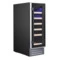 Холодильник винный Temptech WPQ30SCB