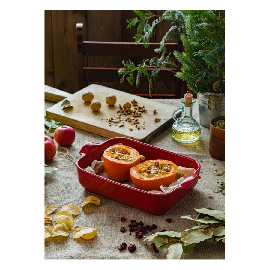 Форма для запекания прямоугольная Esprit de cuisine 32x21 см, 2,3 л, малиновая